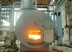 kupować Specjalistyczny spalarz odpadów medycznych spalarz odpadów klinicznych ze stali nierdzewnej online manufacture