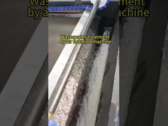 Maszyna flotacyjna z rozpuszczonym powietrzem